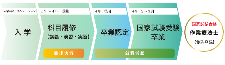 作業療法学科になるまで