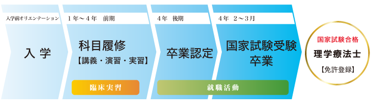 理学療法士になるまで