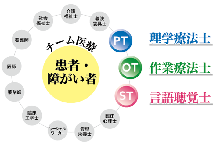 「チーム医療」を担う人材を育成しています。